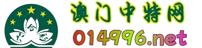 中特网